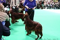 Crufts2011 532